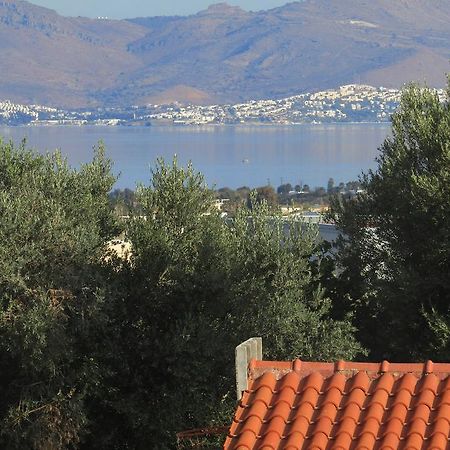 Asklipion Valley Guest House Kos Extérieur photo