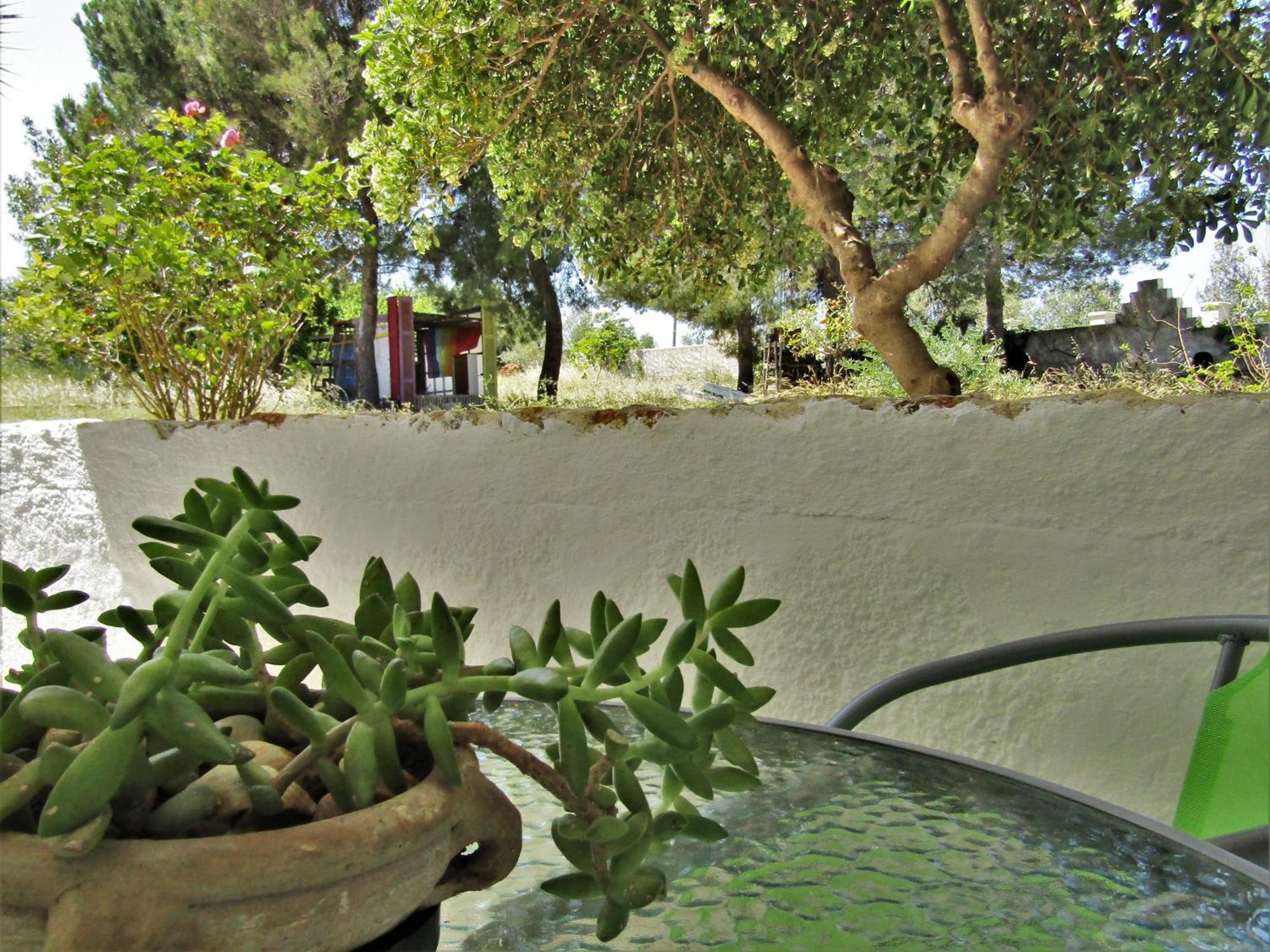 Asklipion Valley Guest House Kos Extérieur photo